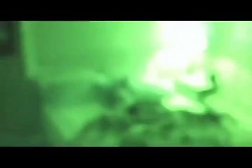 Paranormal Activity 4 Dublajlı Fragman