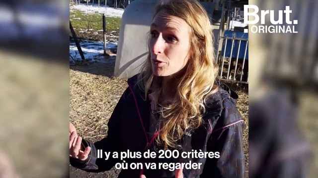 Comment le label Happy s'assure du bien-être animal dans les élevages