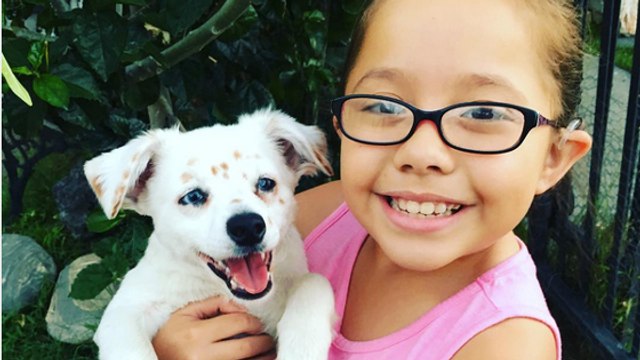 Une fillette sourde apprend la langue des signes à son chiot atteint du même handicap