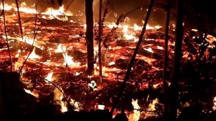 Des images dévoilent l'incroyable spectacle des coulées de lave du volcan Kilauea