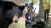 Un Américain sauve un ours noir coincé dans un bocal à l'aide d'un lasso