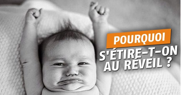 Pourquoi s'étire-t-on au réveil ?