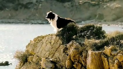 Arkadaşım Max Dublajlı Teaser