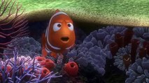Kayıp Balık Nemo 3D Dublajlı Fragman