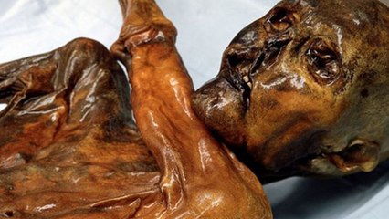 Voici à quoi ressemblait la voix d’Ötzi, l'homme des glaces mort il y a 5000 ans