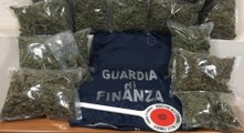 Spaccio di droga tra Piacenza, Basso Lodigiano e Sud Milano: 18 arresti (02.02.22)