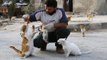 Ce Syrien a créé un sanctuaire pour s'occuper des chats abandonnés d'Alep