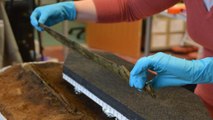 Une épée en bronze vieille de 3000 ans découverte en excellent état en Écosse