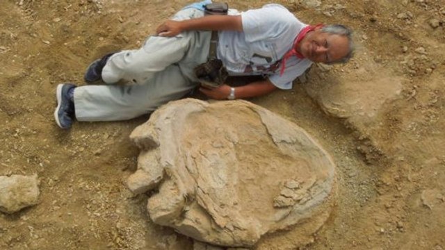 Une empreinte géante de dinosaure découverte dans le désert de Gobi
