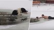 Quand un Russe vient en aide à un chien pris au piège dans un lac gelé