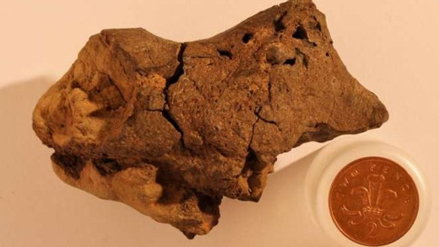 Des scientifiques font une remarquable découverte dans le crâne fossilisé d'un dinosaure