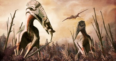 Hatzegopteryx, ce ptérosaure géant qui régnait sur la Transylvanie il y a 70 millions d’années