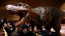 Une société japonaise dévoile des robots-dinosaures au réalisme stupéfiant