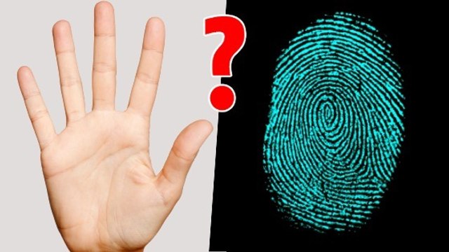 Pourquoi laisse-t-on des empreintes digitales sur tout ce qu'on touche ?