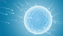 Vasalgel : un gel contraceptif pour hommes montre de nouveaux résultats prometteurs