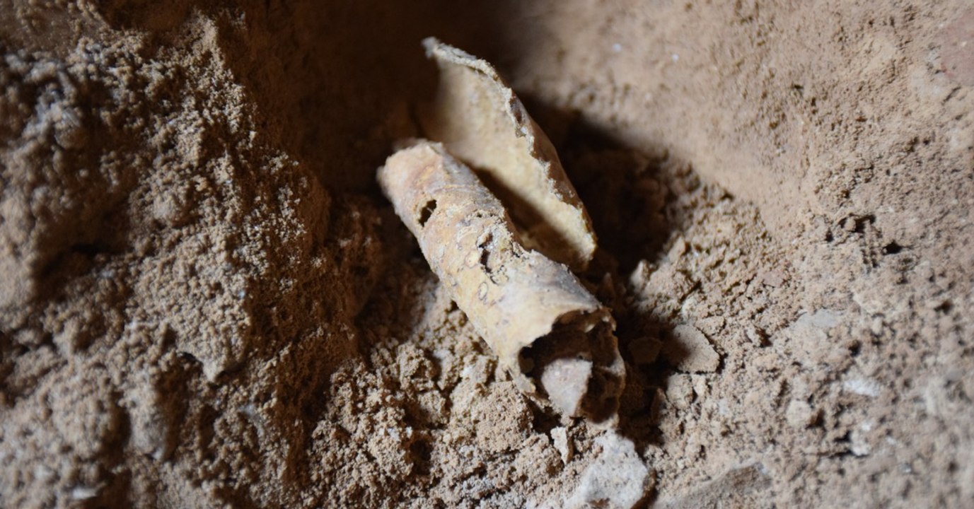 Une nouvelle grotte contenant des manuscrits de la mer Morte découverte près de Qumran
