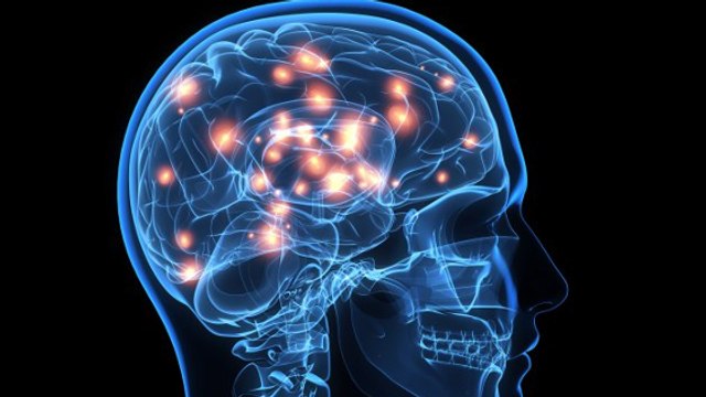 Le cerveau des personnes créatives montrerait de meilleurs connexions entre les hémisphères
