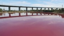 Australie : le lac du Westgate Park vire soudainement au rose à Melbourne