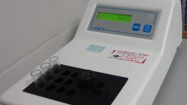 Temps de quick : définition, rôle, comment analyser les résultats ?