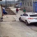 Un chien catapulté par une voiture
