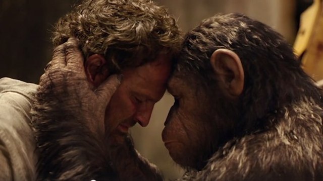 La Planète des singes : 20th Century Fox s'allie à Jane Goodall pour venir en aide aux chimpanzés