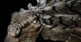 Un dinosaure vieux de 110 millions d'années découvert incroyablement préservé au Canada