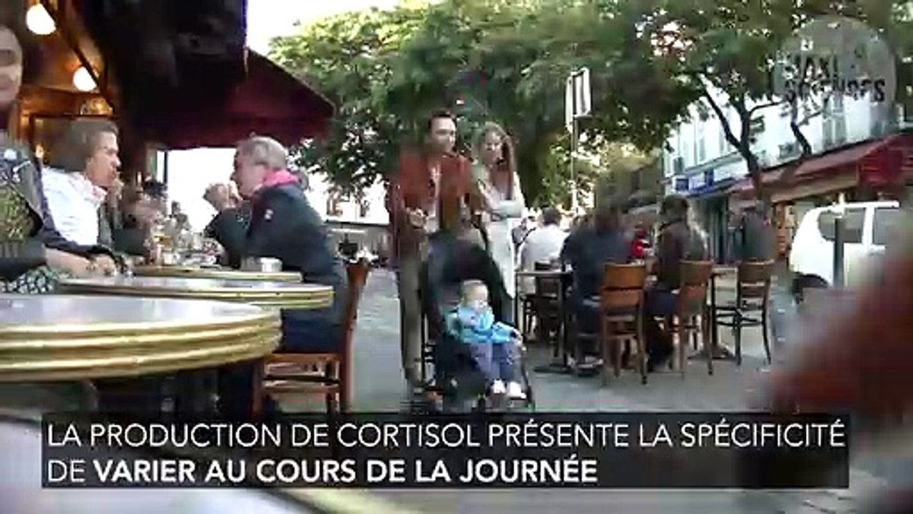 Cortisol : définition, rôle, comment analyser les résultats ?