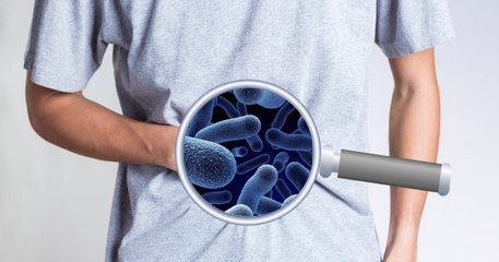 Les bactéries intestinales pourraient influencer les émotions humaines