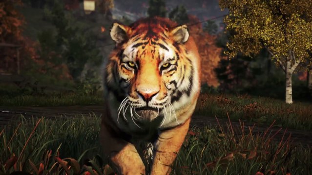 Far Cry 4 : le trailer musclé des armes de Kyrat