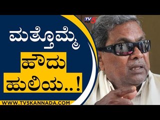 ಮತ್ತೊಮ್ಮೆ ಹೌದು ಹುಲಿಯ..! | Siddaramaiah | Congress | Tv5 Kannada
