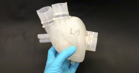 Des scientifiques créent un coeur artificiel imprimé en 3D qui bat comme un vrai