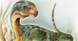 Le Chilesaurus, l'un des dinosaures "les plus intrigants jamais découverts", révèle ses secrets