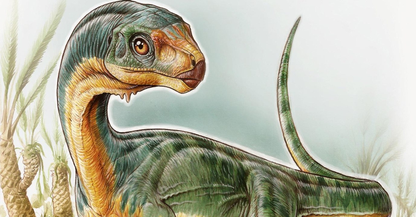 Le Chilesaurus, l'un des dinosaures "les plus intrigants jamais découverts", révèle ses secrets