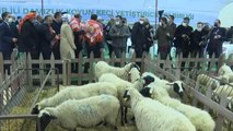 Son dakika haber | Bakan Pakdemirli, 17. AGROEXPO Uluslararası Tarım ve Hayvancılık Fuarı'nı gezdi
