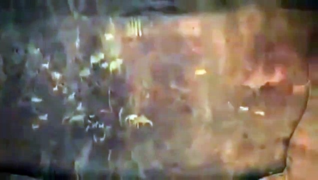 Kahraman Köpek Jock Orijinal Fragman