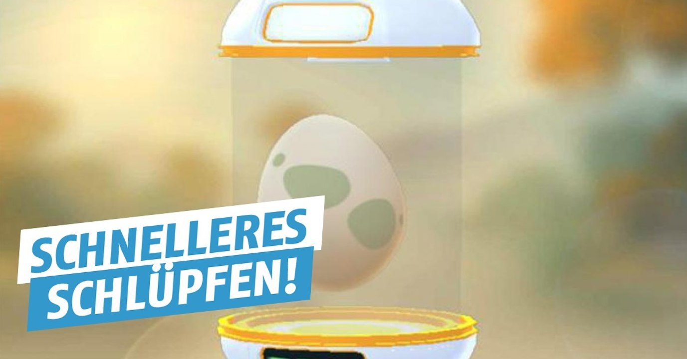 Pokémon GO: Dank des Updates können eure Eier nun schneller schlüpfen