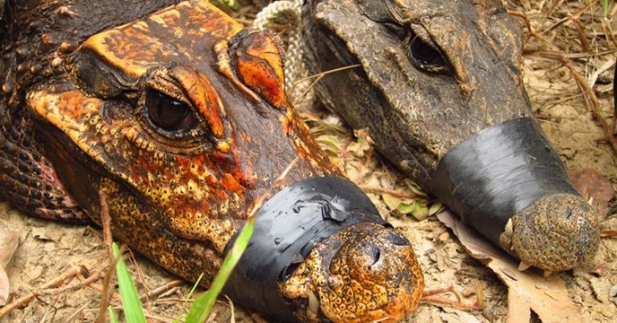 Les 9 actus sciences que vous devez connaître ce matin