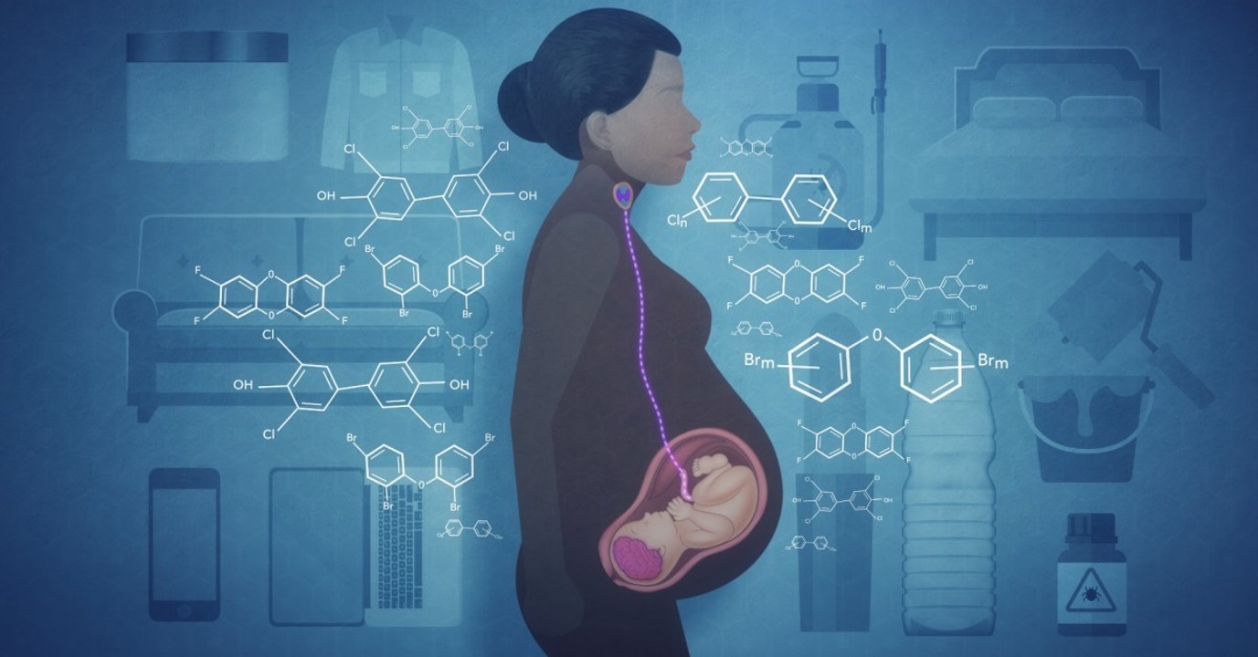 Demain, tous crétins ? Quand les perturbateurs endocriniens menacent l'intelligence humaine