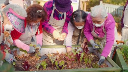 꾸준히 정원 가꿨더니...불안·우울 줄고 활력 늘고 / YTN