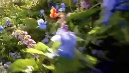 Aşkın Gücü Orijinal Fragman