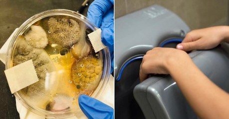 L'image virale d'une boîte de Petri contenant les bactéries d'un sèche-mains ne doit pas vous inquiéter