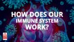 How does our immune system work?