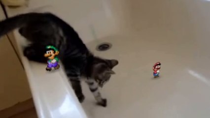 Mario et Luigi reviennent semer la terreur dans la vraie vie