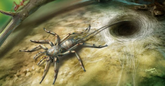 Une étrange créature mi-araignée mi-scorpion découverte piégée dans de l'ambre