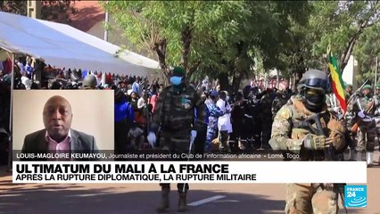 Mali : la France "n'a pas de politique africaine", et elle "n'a pas de boussole"
