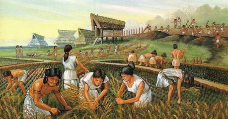 Le mystère du goulot d'étranglement du chromosome Y au Néolithique trouve enfin une explication