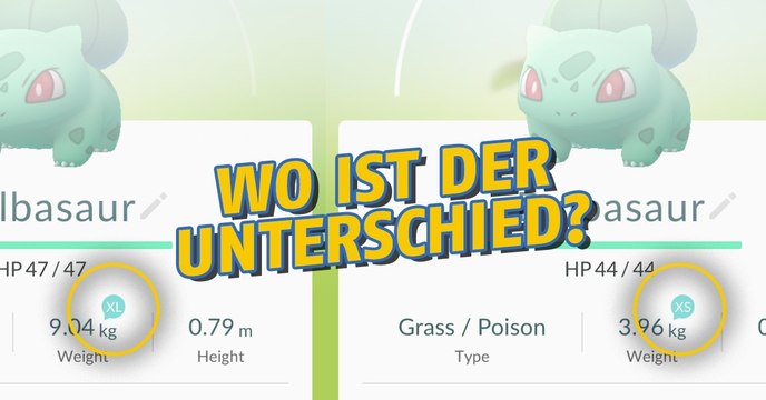 Pokémon Go: Kommt es vielleicht doch auf die Größe an?