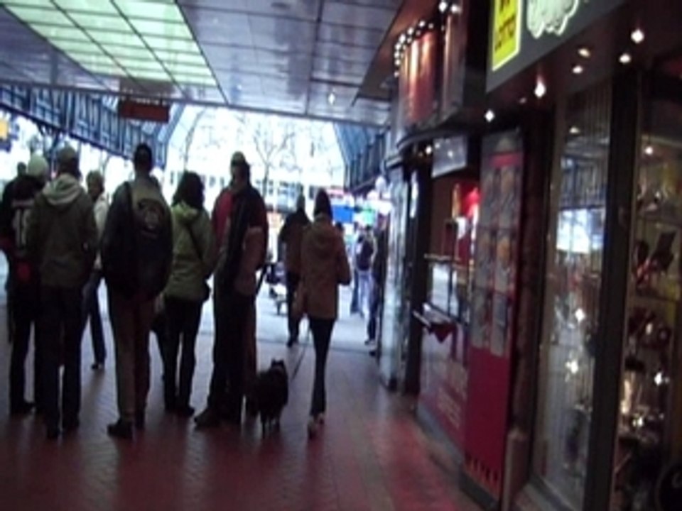 Hatschi - Die Grippewelle