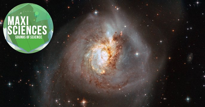 Tyrannosaure, baleine et volcan sous-marin : les 8 actus sciences que vous devez connaître ce 3 juin