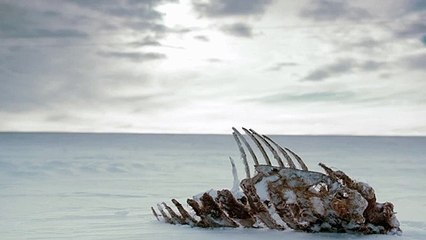 Fargo - Teaser Fragman 5